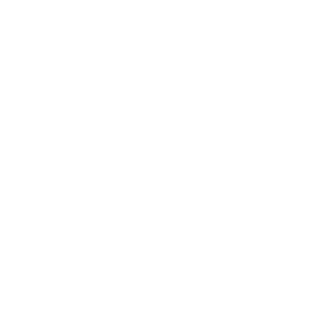 Ine Francisconi